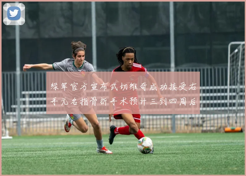 绿军官方宣布武切维奇成功接受右手无名指骨折手术预计三到四周后复查