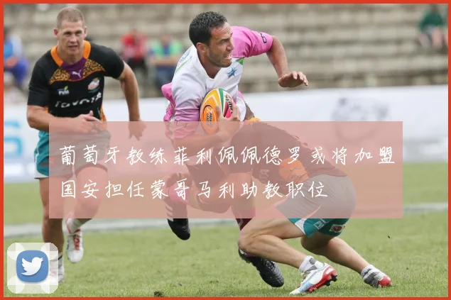 葡萄牙教练菲利佩佩德罗或将加盟国安担任蒙哥马利助教职位