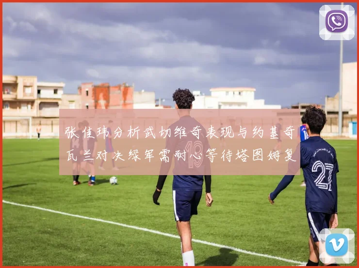 张佳玮分析武切维奇表现与约基奇瓦兰对决绿军需耐心等待塔图姆复出